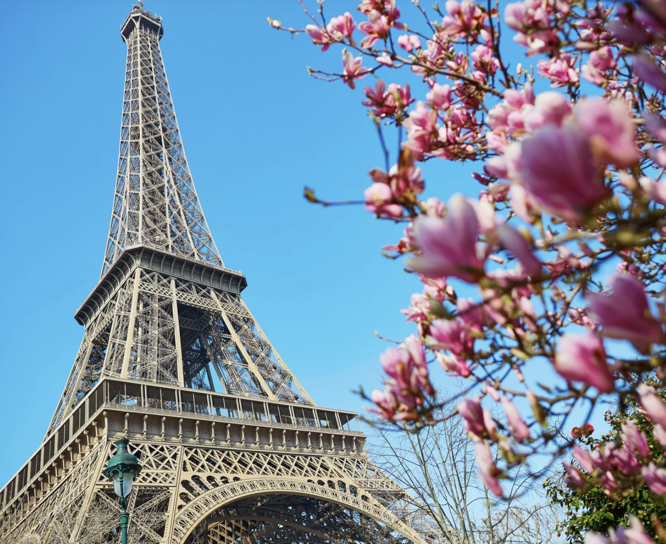 evolve tours france school trips